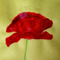 0