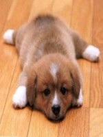 babiigrl