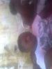 lanre4re