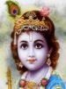 sarat2